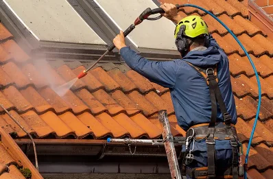 Démoussage et hydrofuge de toiture à Javaugues